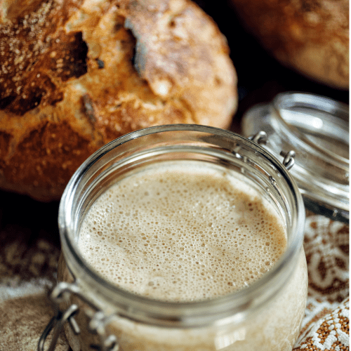 A Complete Guide On How To Freeze Sourdough Starter Food Over Comfort