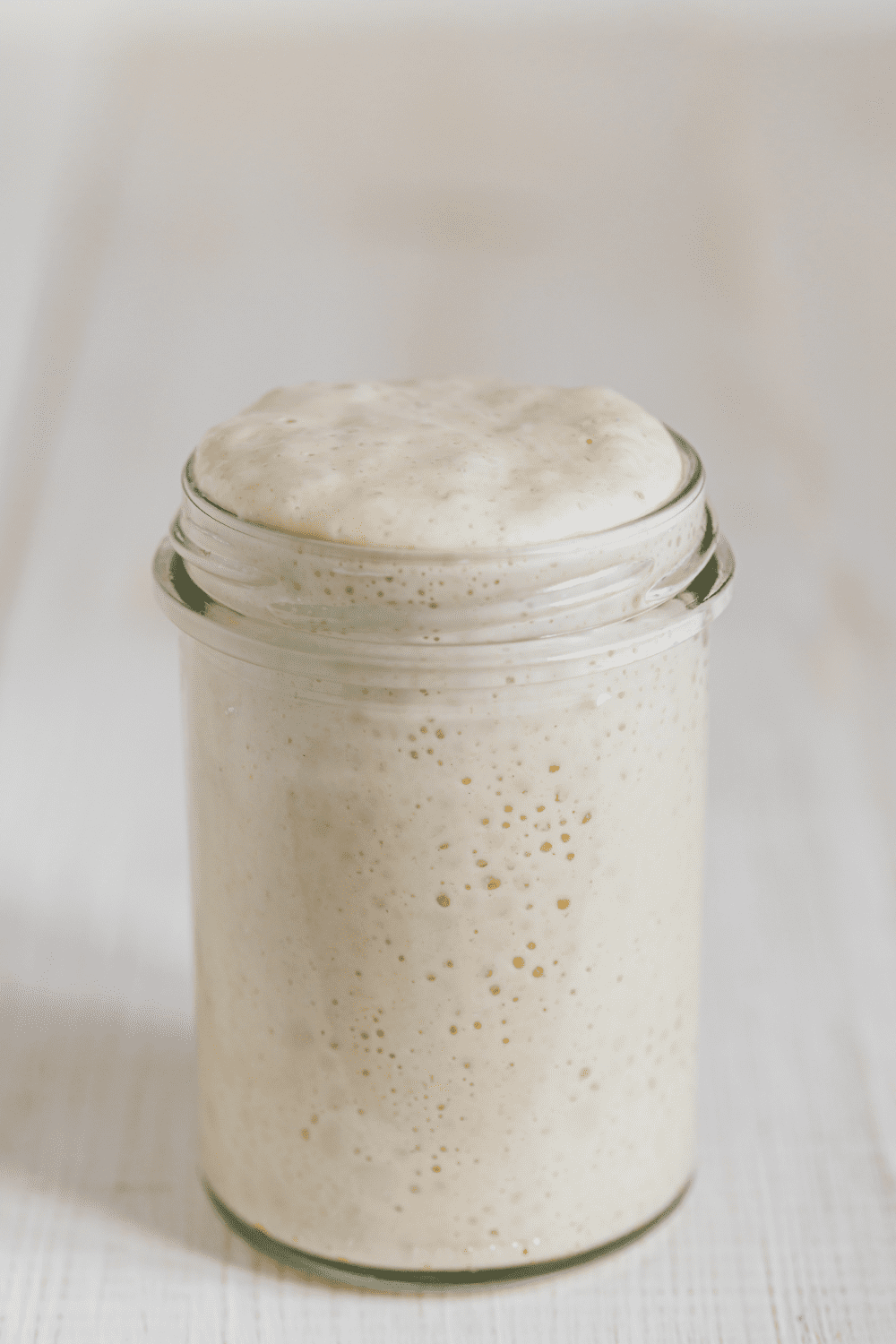 A Complete Guide On How To Freeze Sourdough Starter Food Over Comfort