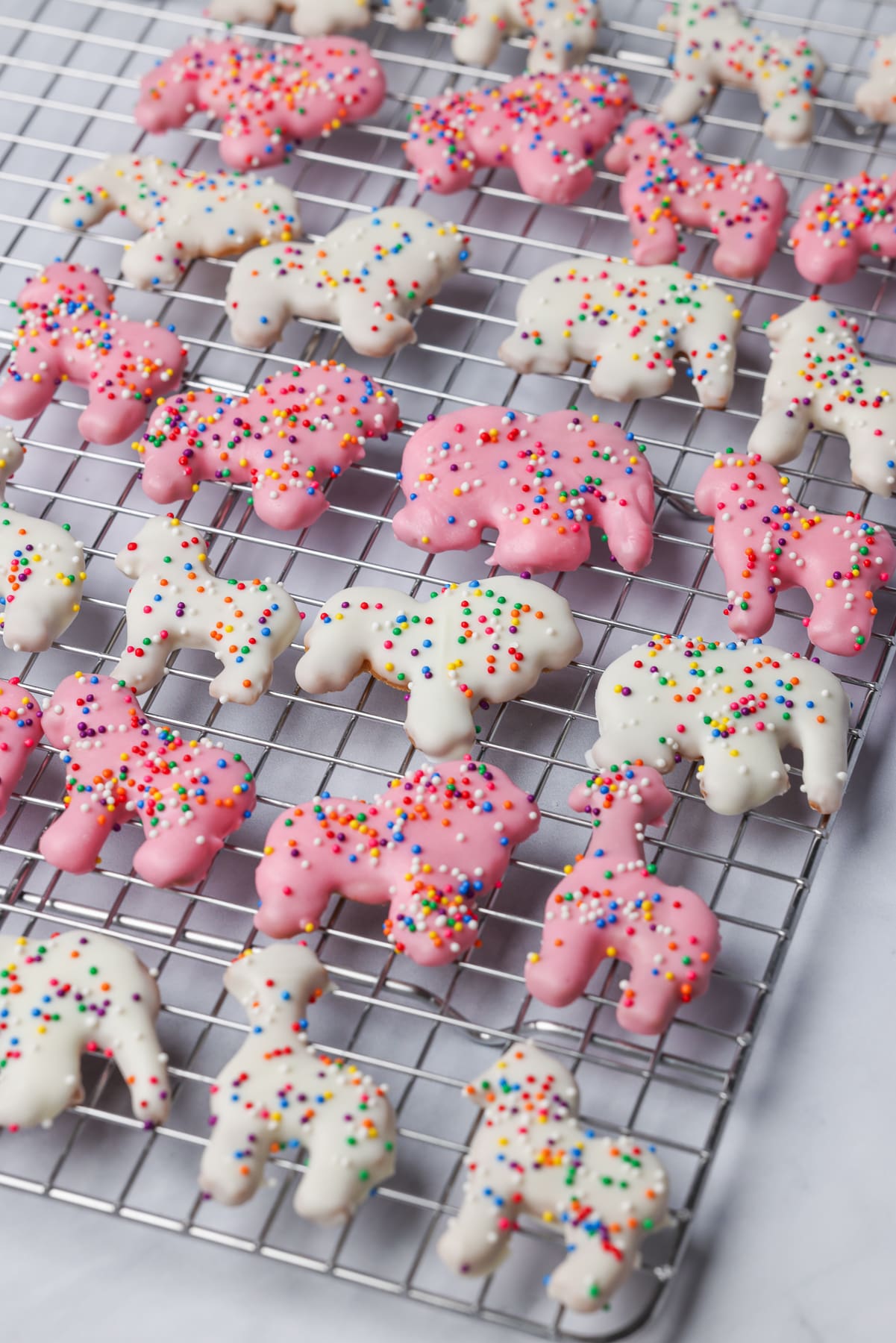 Freshly baked circus animal cookies. They are on a wire rack.